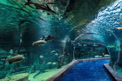 Public Aquariums, Marine arks, Oceanariums in Europe